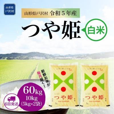 ふるさと納税 戸沢村  特別栽培米 つや姫 定期便 60kg(10kg×6回お届け)山形県 戸沢村