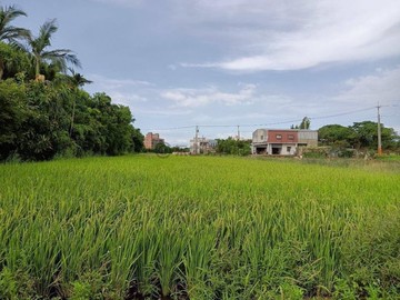 （觀音向陽農場437美農地）｜桃園市觀音區藍埔段