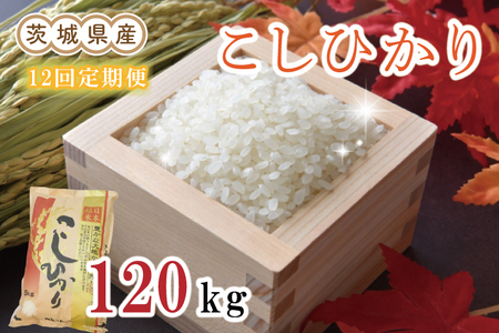 EN-9　茨城県産コシヒカリ計120kg（10kg×12回）（令和5年産）※離島への配送不可