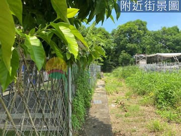 阿蓮大崗山生態園區休閒美景方正好農地｜高雄市阿蓮區峰崗段