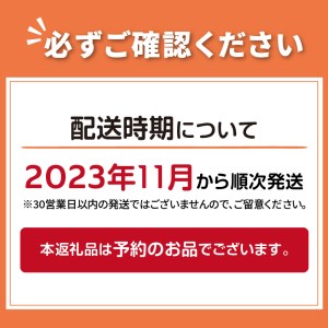 サロマ湖産殻付き2年牡蠣4.2kg※牡蠣ナイフ付 カキ かき 4.2キロ 魚介 海鮮 貝 ふるさと納税 BBQ バーベキュー