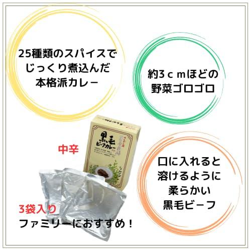 百寿薬膳 黒毛ビーフカレー中辛200g×3袋