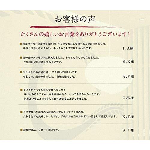 カットうなぎ12食