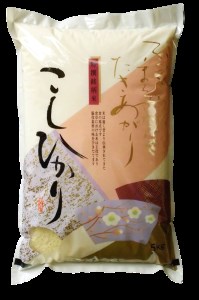 コシヒカリ　玄米5kg（茨城県共通返礼品・かすみがうら市産）