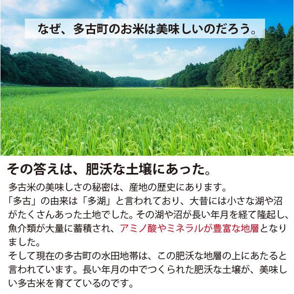 ＜令和5年度産＞送料無料　萩原さん家の多古米(白米5kg）