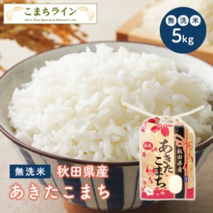 新米！令和5年産　秋田県産　あきたこまち　5ｋｇ　沖縄・離島別途送料