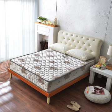 Ally愛麗 特級涼感 側邊強化獨立筒床墊 雙人5尺