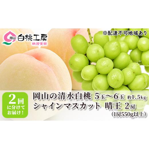 ふるさと納税 岡山県 赤磐市 桃 ぶどう 2024年 先行予約 清水 白桃 1.5kg シャインマスカット 晴王 2房 1房550g以上 2回に分けてお届け！ もも 葡萄 定期便 岡…