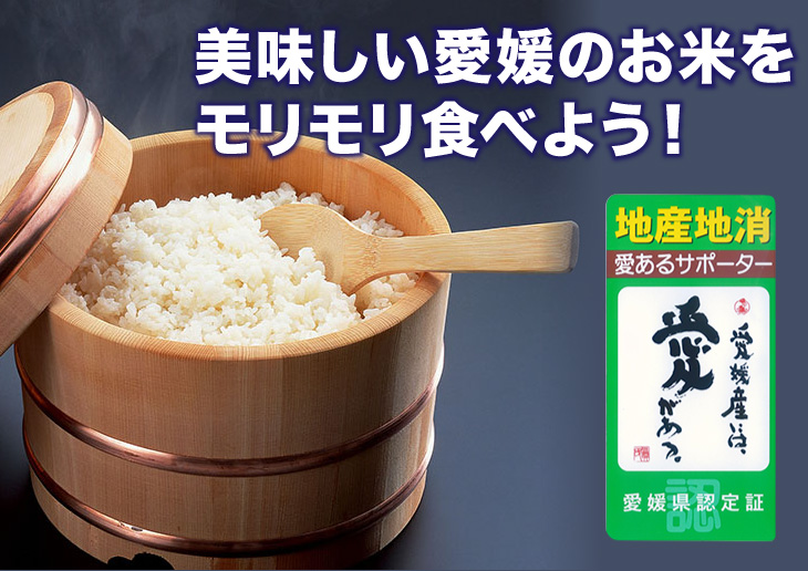 愛媛県産 あきたこまち 10kg（送料別）