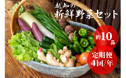 越知産市の季節の野菜セット(年4回発送)　産地直送　旬野菜