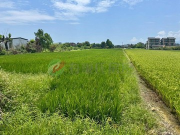 七賢近宜蘭市地點超讚大面寬方正美農地｜宜蘭縣員山鄉深賢段