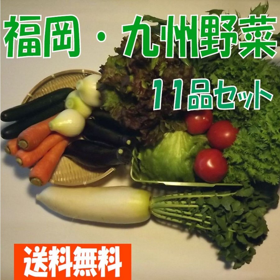 福岡・九州野菜11品セット(送料無料）ご希望の野菜をご要望欄にてお知らせください。出来る限り対応します