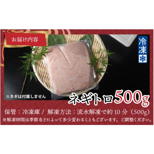 ふるさと納税 福井県 鯖江市 ネギトロ 500g [A-11007]