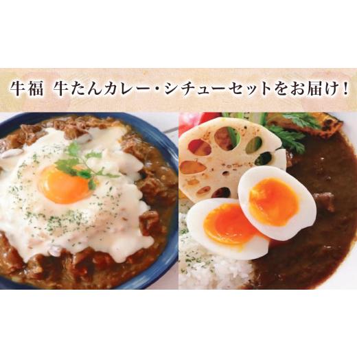 ふるさと納税 宮城県 名取市 牛福牛たんカレー・シチュー各200g×3パック6食入り