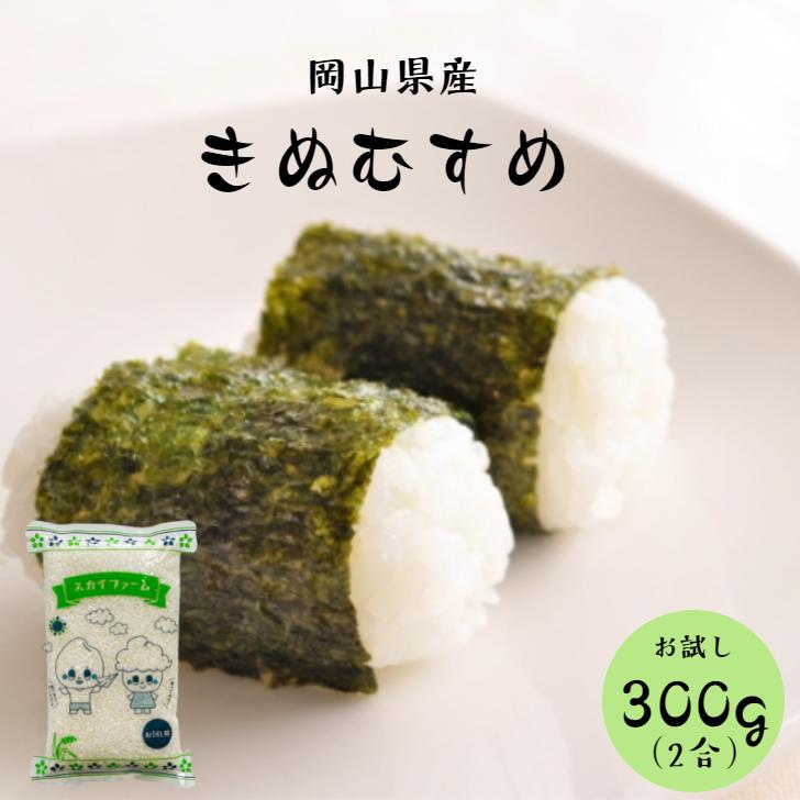 新米 令和5年産 岡山県産 きぬむすめ 300g (2合) 1袋 ポイント消化 白米 食品 お試し 1kg以下 メール便 国産 送料無料