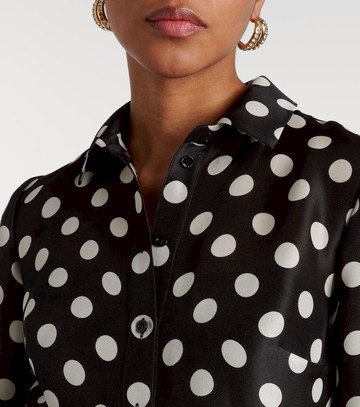 Carolina Herrera Floral-appliqué polka-dot silk gown