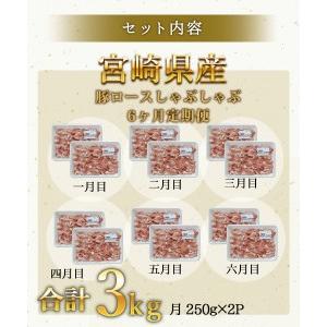 ふるさと納税 宮崎県産豚ロースしゃぶしゃぶ用 3kg 6回定期便　N0136-B614 宮崎県延岡市