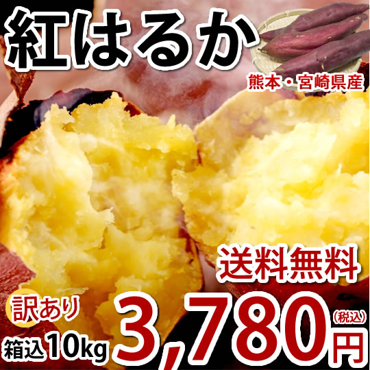 さつまいも 紅はるか 訳あり 10kg 箱込（内容量9kg＋補償分500g) 無選別 熊本 宮崎県産