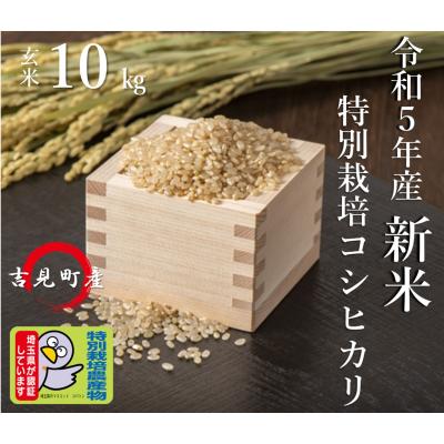 ふるさと納税 吉見町 [令和5年産]埼玉県比企郡吉見町産 特別栽培米コシヒカリ  10kg