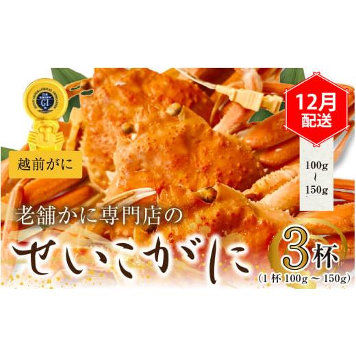 ふるさと納税 福井県 福井市 蟹好きにおすすめ！老舗カニ専門店の「越前セイコガニ 3杯」【 越前ガニ 越前 がに セイコガニ せいこがに 茹…