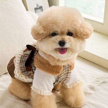 寵物服飾-Cancan Bustier 經典吊帶層裙 -韓國it’s 寵物衣服  狗狗衣服 小型犬洋裝 寵物洋裝 羊毛洋