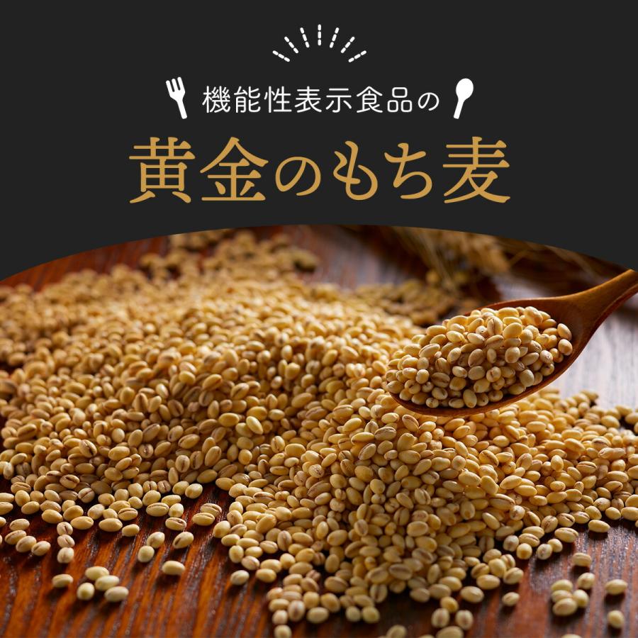 黄金のもち麦 5kg (500g×10個)もち麦ごはん もち麦 国産 九州産 機能性表示食品