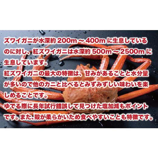 ふるさと納税 福井県 越前市 越前産　紅ずわいがに　3杯