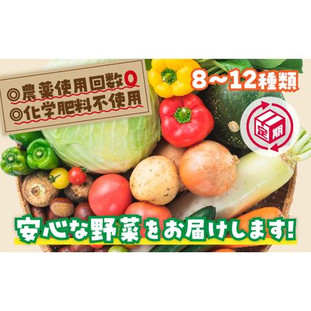 ふるさと納税 A-086　安心お野菜定期便(12回コース) 山口県山口市