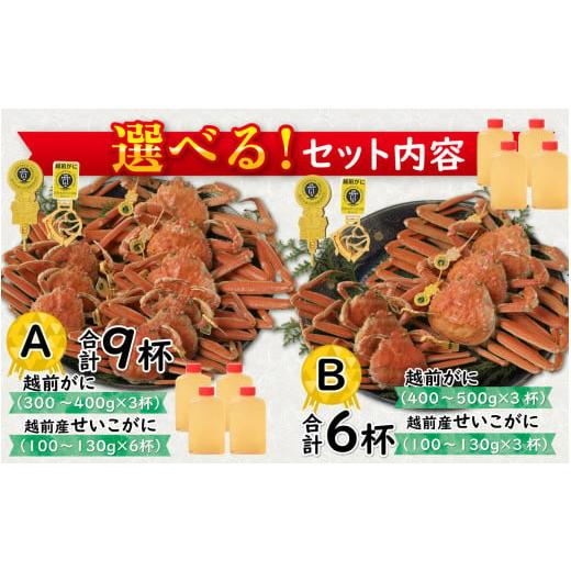 ふるさと納税 福井県 福井市 Ｄ　越前がに(越前産ズワイガニ・オス)1.3〜1.4ｋｇ×１杯 　合計１個 [L-096012_04]