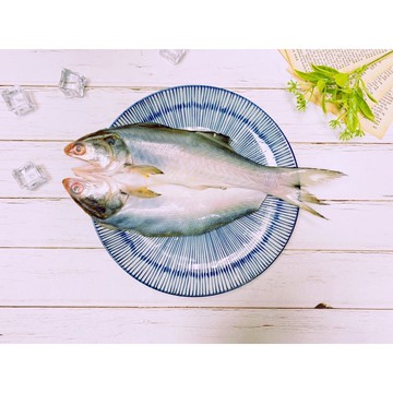 友鮮食｜午魚一夜乾🔥多種規格◇特價◇清蒸◇燒烤◇香煎