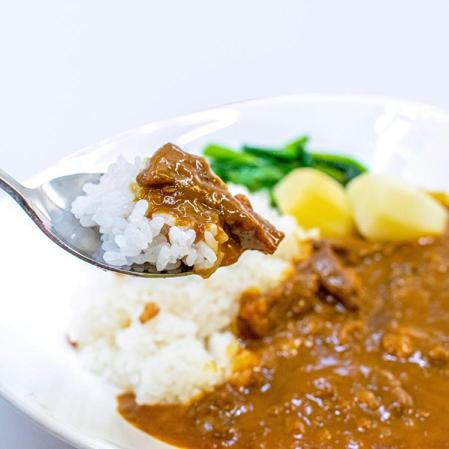 ギフト 2023 レトルト カレー 赤城牛 ビーフカレー 選べる 10個 セット 甘口 中辛 辛口 詰め合わせ 送料無料