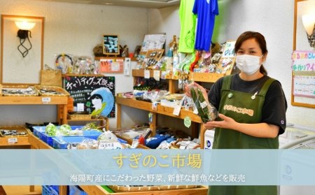 阿波の国海陽町　旬のお野菜詰め合わせセット６‐９品