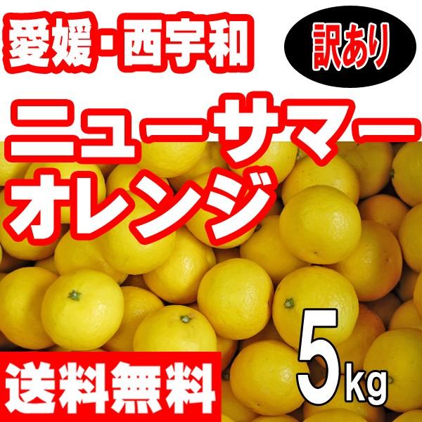 愛媛西宇和産　ニューサマーオレンジ（小夏　日向夏）　訳あり家庭用　５ｋｇ 送料無料　産地直送