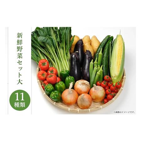 ふるさと納税 新鮮野菜セット大（11種類） 兵庫県