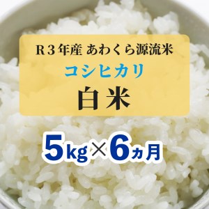 白米 5kg 令和5年産 コシヒカリ 岡山 あわくら米米倶楽部 K-af-CCZA