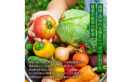 野菜セット（7‐9種類） 《3カ月定期便》 栽培期間中農薬不使用！ 季節の野菜 定期コース 定期 無農薬 野菜 やさい 新鮮 自然 健康 セット 詰め合わせ 冷蔵 美味しい おいしい 食べ物 食材 秋 旬の味覚 ご当地 お取り寄せ 芸西村 15000円 故郷納税 返礼品