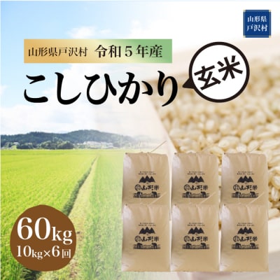 コシヒカリ 定期便 60kg(10kg×6回お届け)山形県 戸沢村