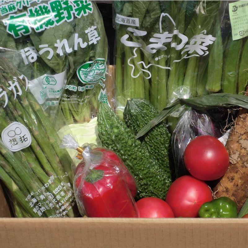 むつみ屋 旬の無農薬野菜セット 13品