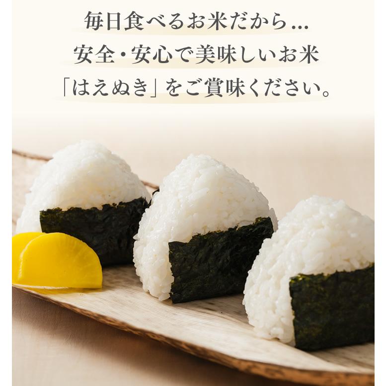 無洗米 米 お米 令和5年産 山形県産 はえぬき 10kg 無洗米（5kg×2袋）rhm1005