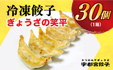 餃子30個入り