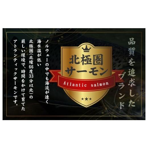 ふるさと納税 大阪府 泉佐野市 北極圏サーモン ポーション 700g（350g×2パック）