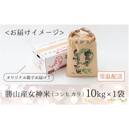 ふるさと納税 福井県 勝山市 令和5年産 コシヒカリ 勝山産女神（おながみ）米 10kg×1袋 [B-042002]