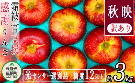 りんご 3Kg  果物 訳あり 秋映 長野 「感謝りんご」 交換保証 不揃い 規格外 傷あり ３キロ (７から１５玉)   全国発送 R6年10月頃〜発送予定 長野県飯綱町 [1201]