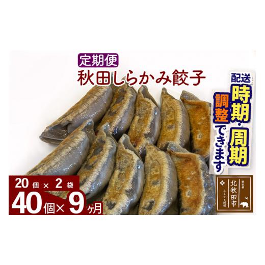 ふるさと納税 秋田県 北秋田市 《定期便9ヶ月》秋田しらかみ餃子 40個（20個×2袋）×9回 