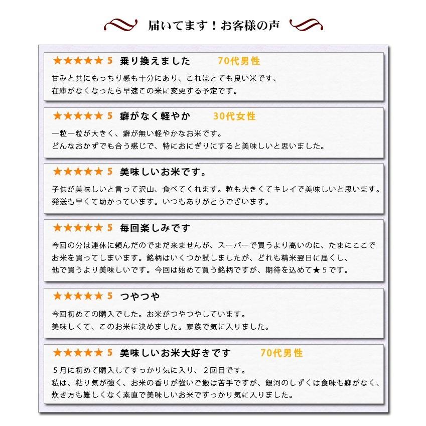 新米 お米 10kg 送料無料 無洗米 銀河のしずく 5kg×2袋 岩手県産 令和5年産 1等米 お米 食品 北海道・沖縄は追加送料