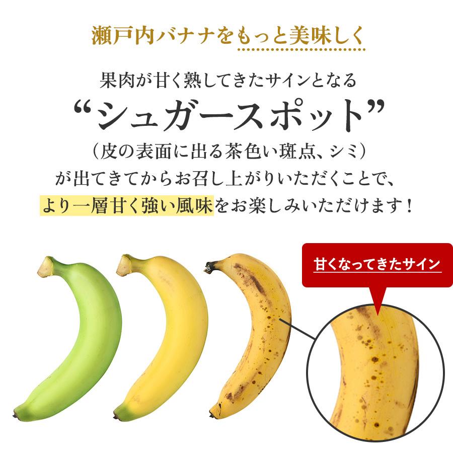 瀬戸内バナナ バナナ 無農薬 岡山県産 特秀 2-3本入り 国産 送料無料 産地直送 希少 御中元