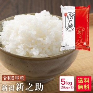 米 5kg 送料無料 令和5年産 新潟新之助5kg