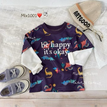🌈✨mix1001 彩色恐龍印圖拼袖上衣✨兒童恐龍🦕上衣 5-17