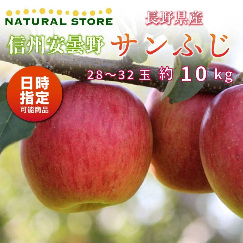 [予約 2023年 11月25日-12月10日の納品] サンふじ 28-32玉 大玉 約 10kg りんご 長野県産 安曇野 冬ギフト お歳暮 御歳暮