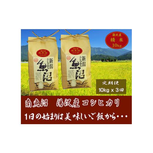 ふるさと納税 新潟県 湯沢町 令和5年産＜精米＞（白米）10kg（5kg×2袋）精米したてのお米をお届け